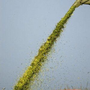 RGT-Oxxgood-Maïs-ensilage