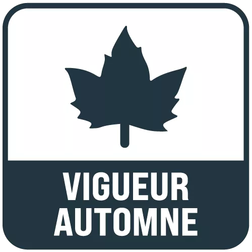 picto vigueur automne