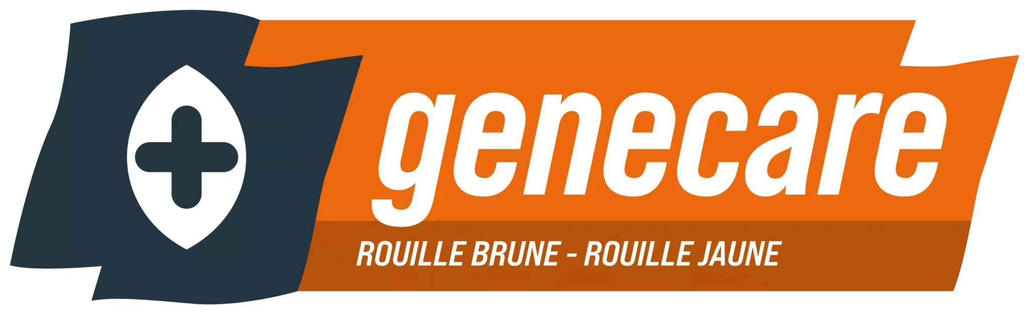 ragt-picto-solutuion-genecare_rouille_brune_rouille_jaune