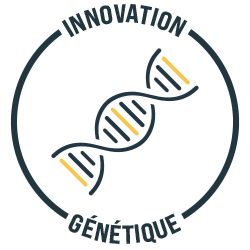 Defis Communs Solutions RAGT Innovation Genetique