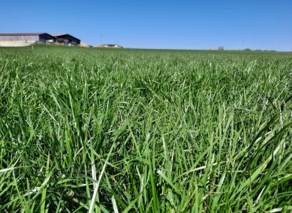 RGH RGT CORDIAL 31.03.2021_57_TJ