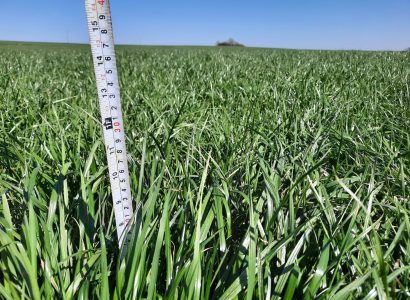 RGH RGT CORDIAL 31.03.2021_57_TJ_1