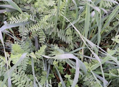 RGT ACTUBI RIHET 13112025 35 CLG (1)