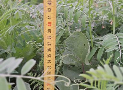 RGT ALP2025 RIHET 13112025 35 CLG (10)