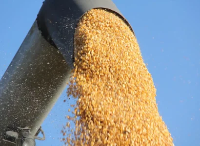 RGT-CONEXXION-DUO-mais-grain