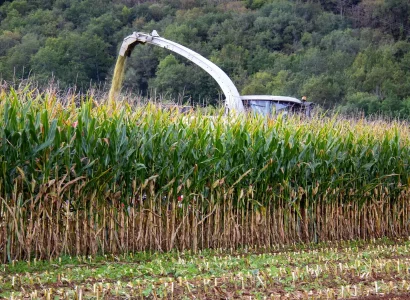 RGT-Geoxx-mais-ensilage