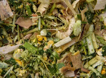 RGT-Haramixx-Maïs-ensilage-Methanisation