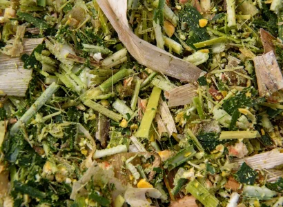 RGT-Hauxxtin-Mais-ensilage