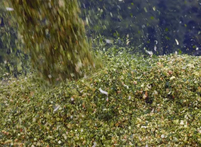 RGT-Lanxx-Maïs-ensilage