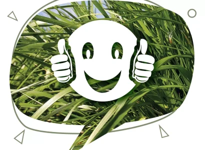 RGT_TOPICAL_fourrageres_ray_grass