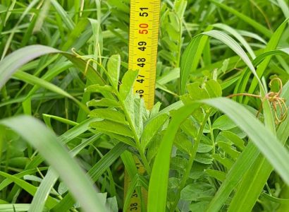 SILO FAST 24032026 56 CLG (1)