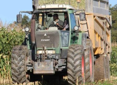RGT-Lacteax-Maïs-ensilage