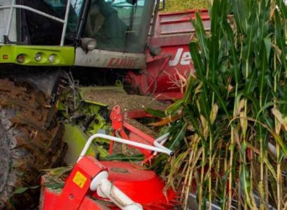 RGT-Paxxifonne-Maïs