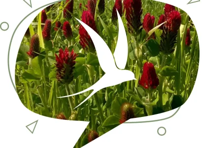 rgt_inkara_fourragere_2