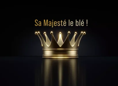 rgt_majesko_ble_tendre_hivers