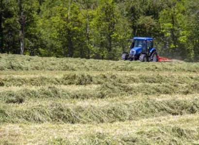 rgt_melix_hybride_melange_3_ans_ray_grass