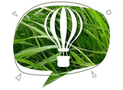 rgt_volantyl_fourragere_1