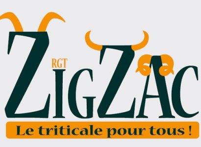 rgt_zigzac